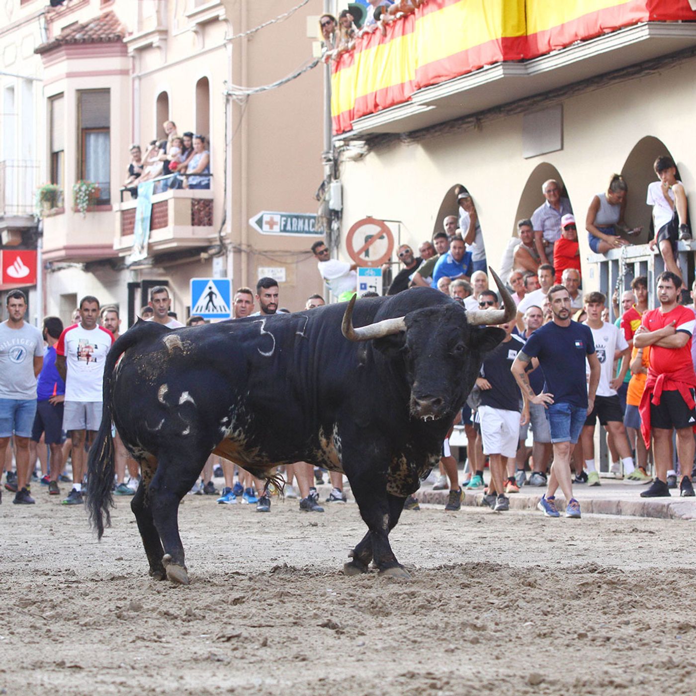 Hablemos de Toros