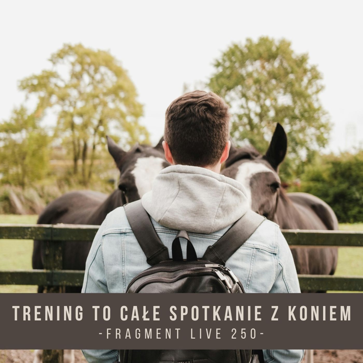 Trening to całe spotkanie z koniem - fragment live 250 Trening to całe spotkanie z koniem - fragment live 250