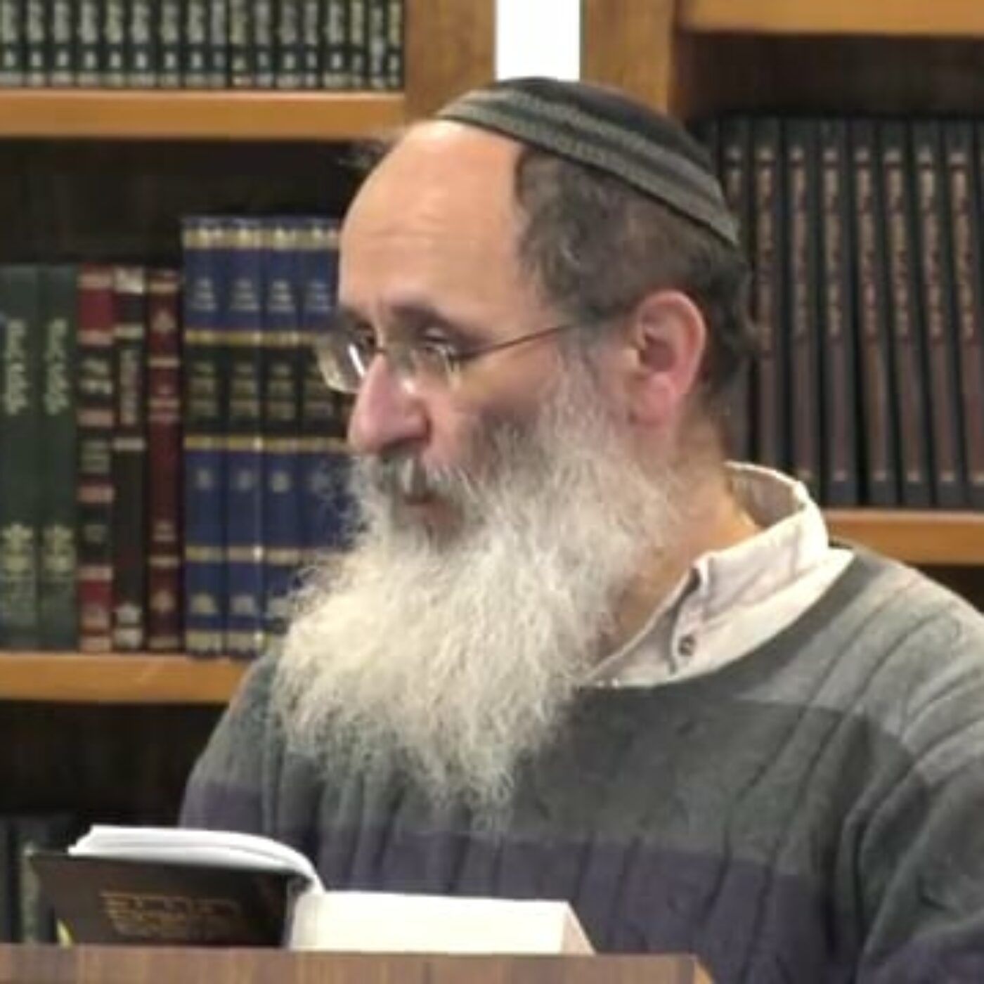 מדוע פתרון אנשי דור המבול למניעת אלימות בין בני האדם על ידי יצירת אחידות בינהם , נכשל ? | הרב אורי עמוס שרקי episode artwork