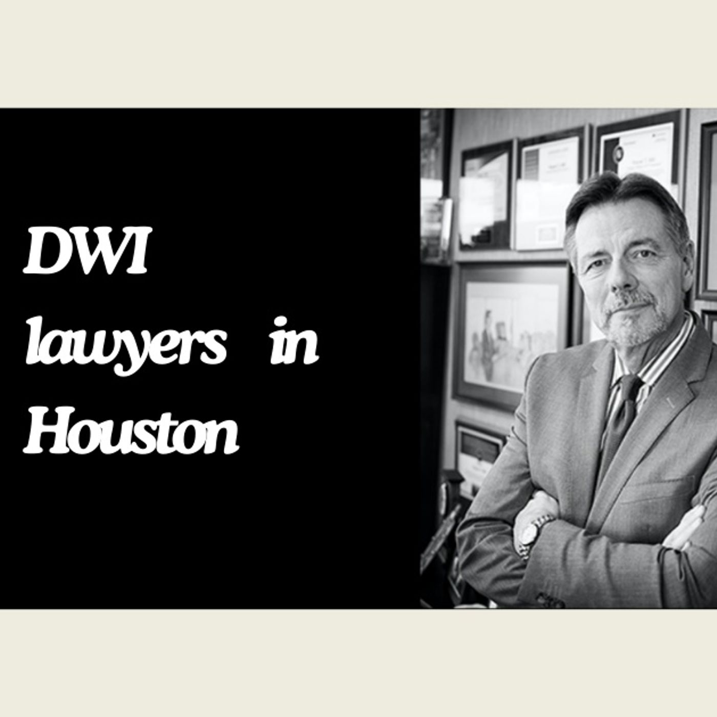 Top Notch DWI Lawyers in Houston