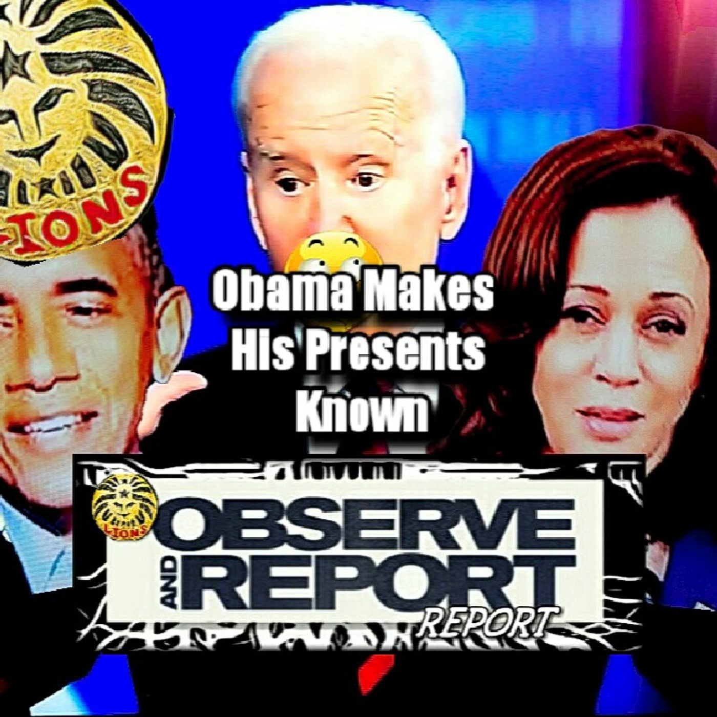 Observe And Report Report