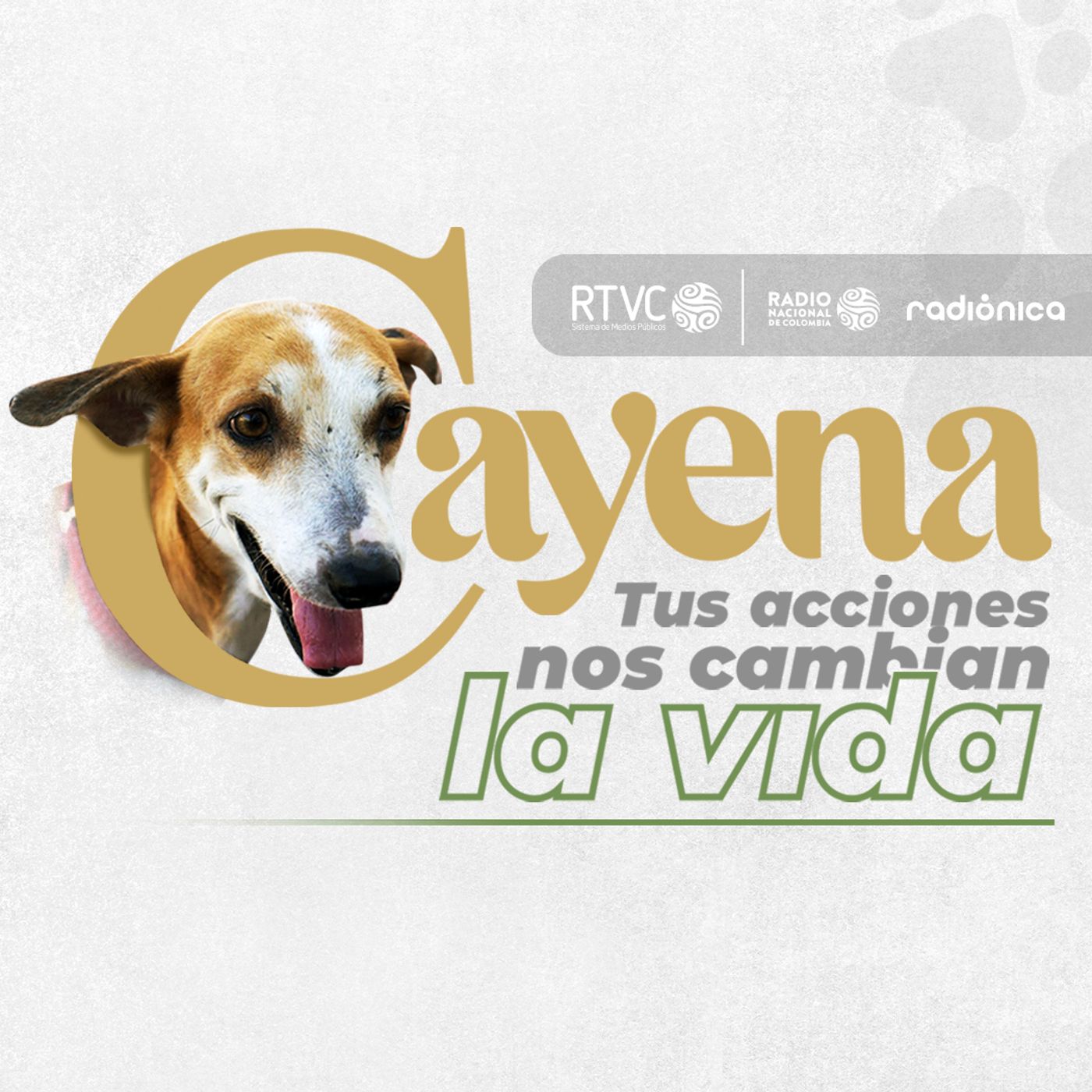 Cayena, tus acciones nos cambian la vida