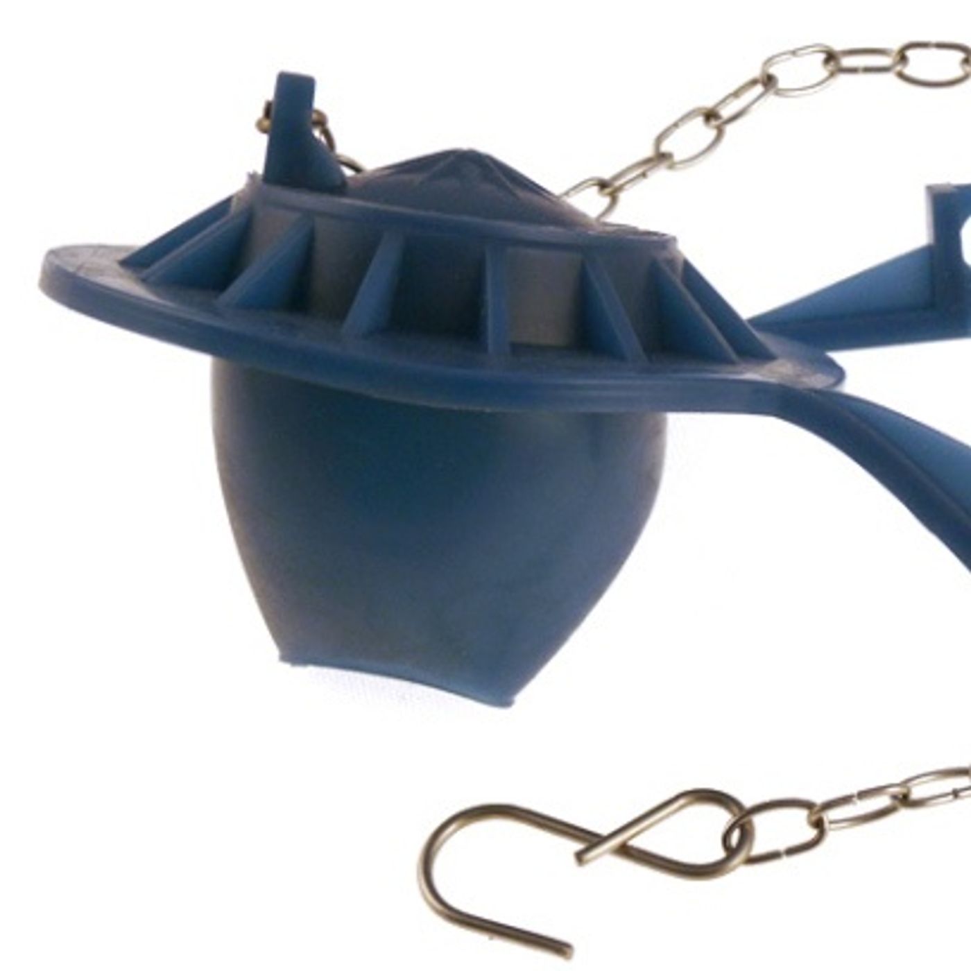 Bailey Wright\'s show