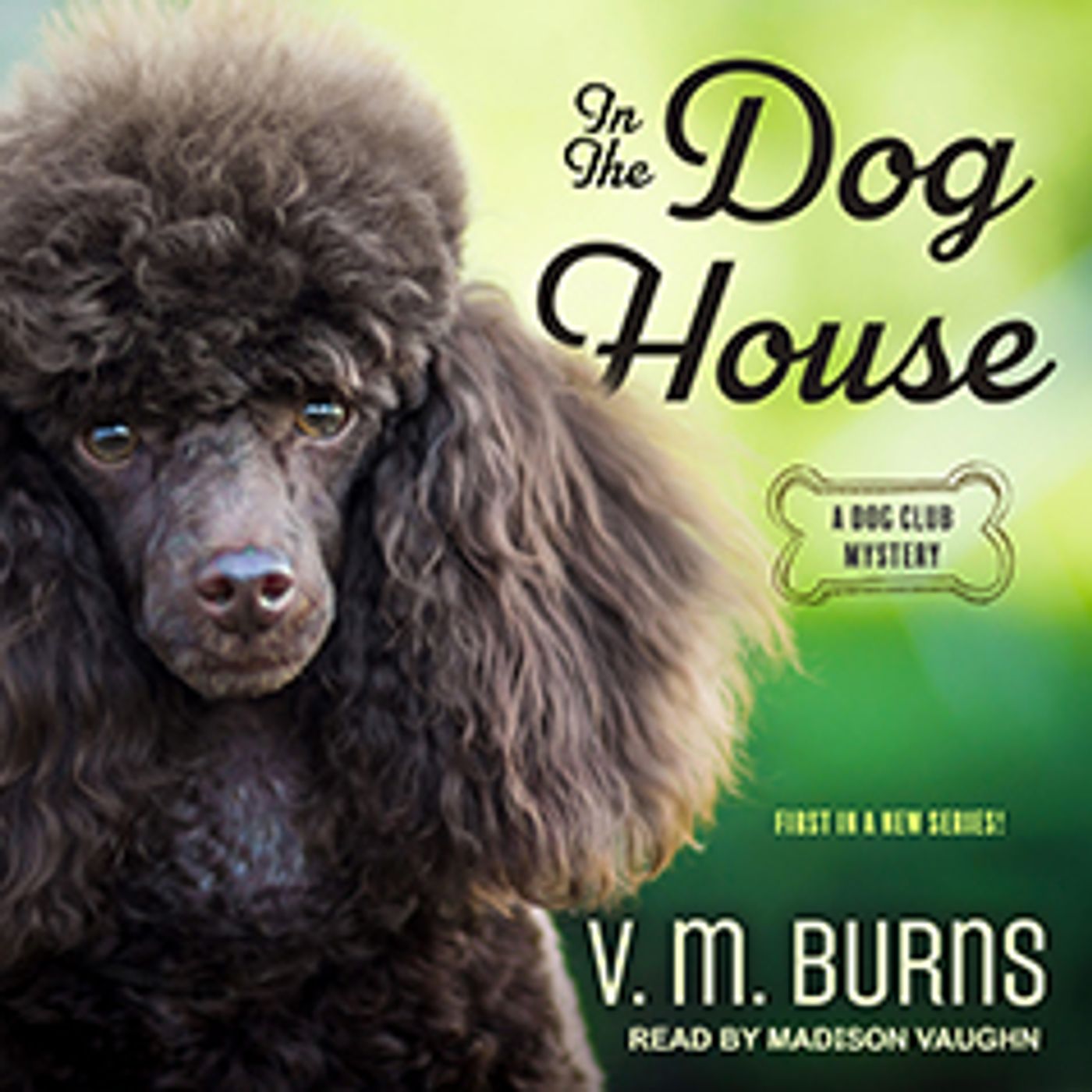In the Dog House by V.M. Burns episode artwork