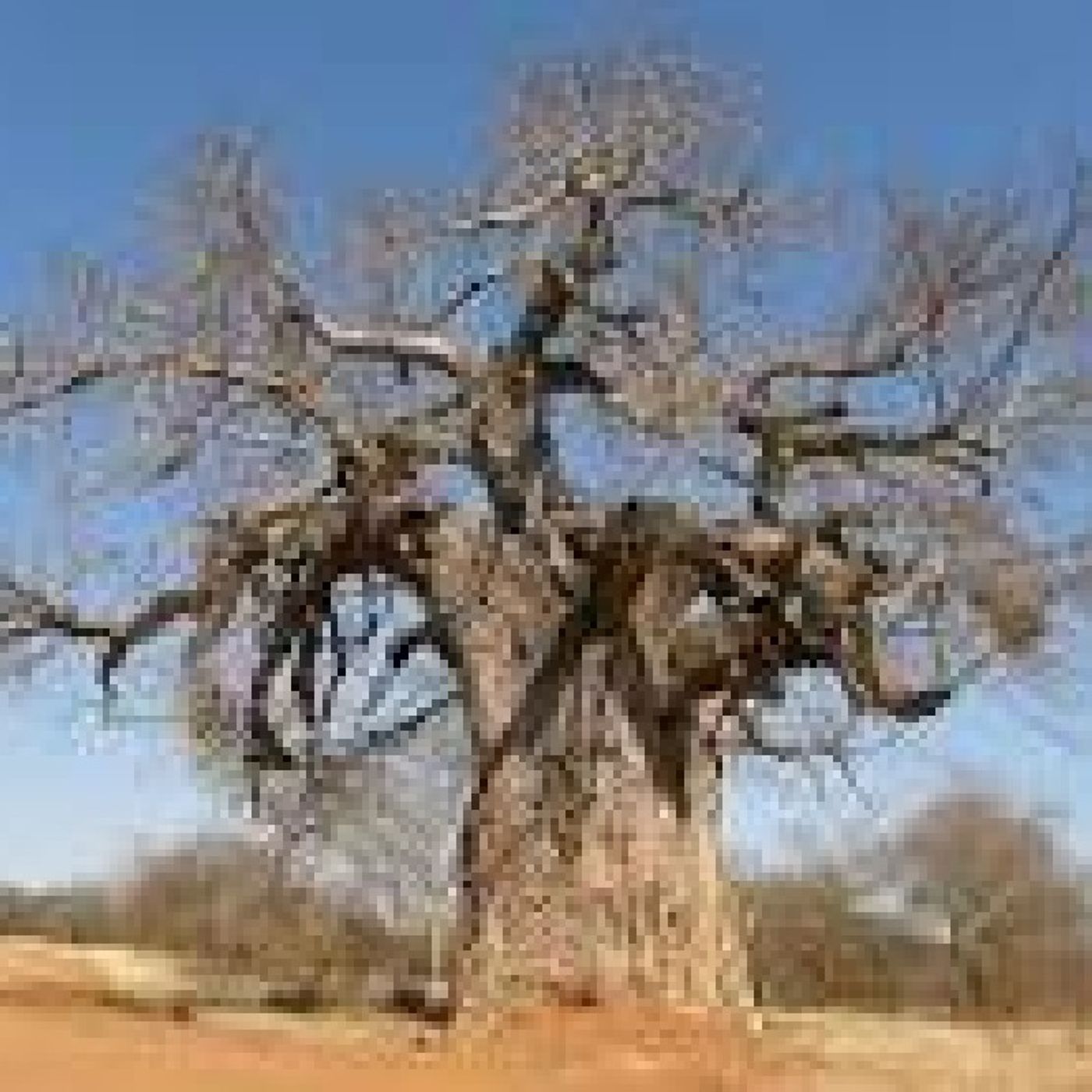 Muafrica Noble Farmer\'s podcast