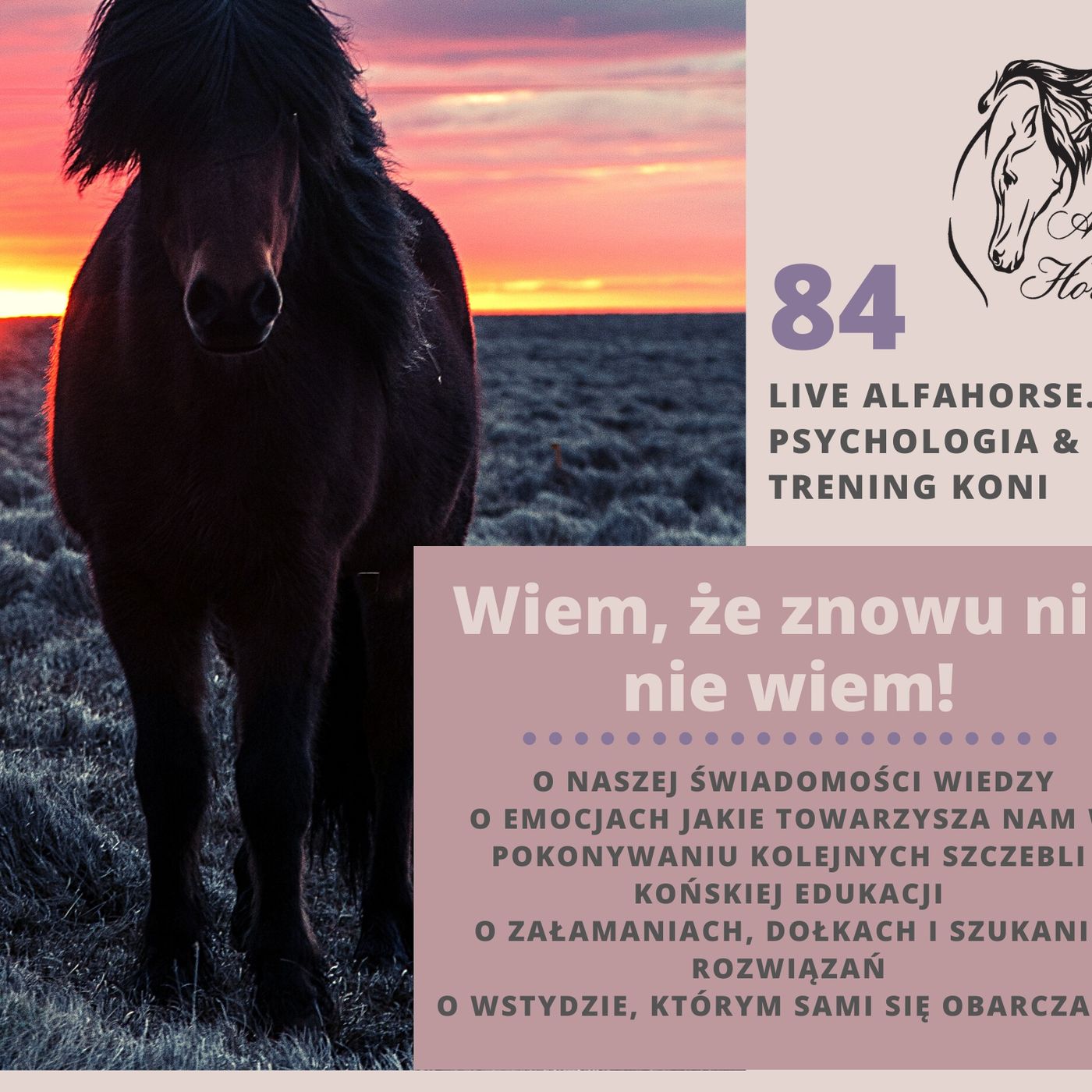 Psychologia & Trening Koni - Alfa Horse