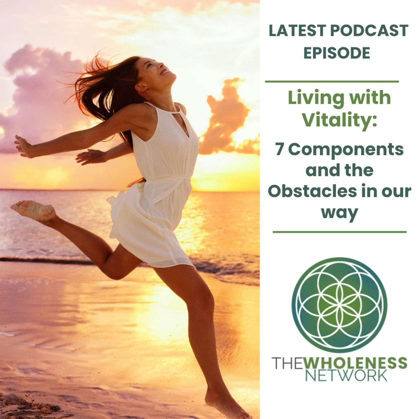 93. Living with Vitality: 7 Components and the Obstacles in our way episode artwork