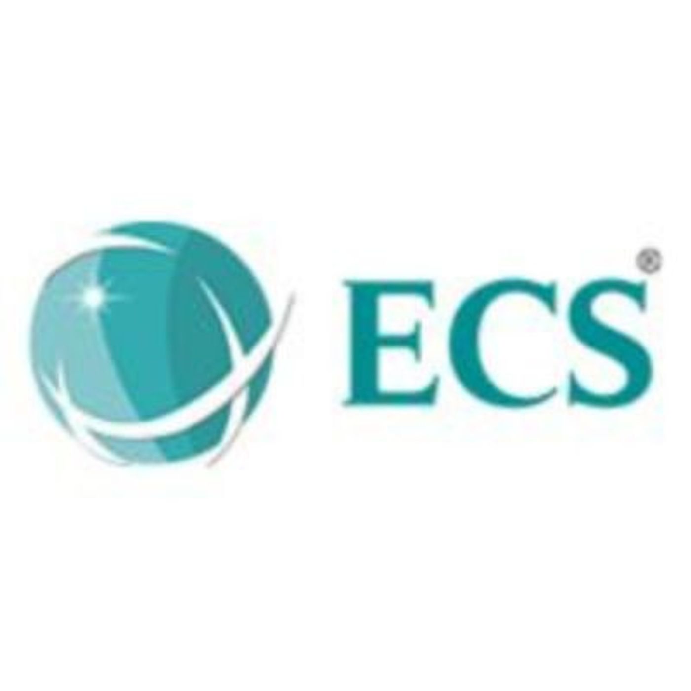ECS Infotech Pvt. Ltd