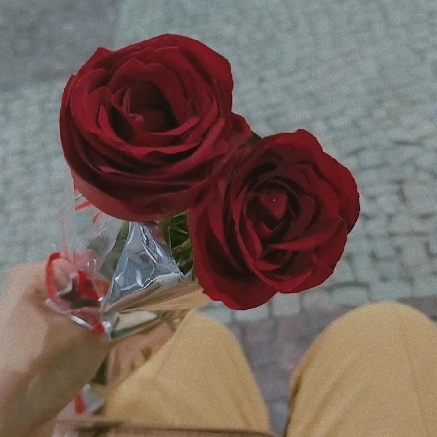 podcast de Sanmyla dos santos Viana