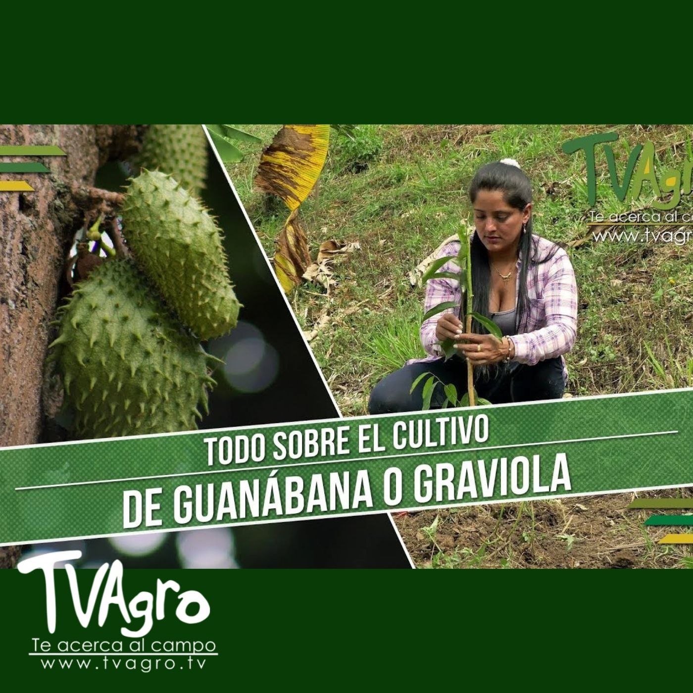 TV AGRO