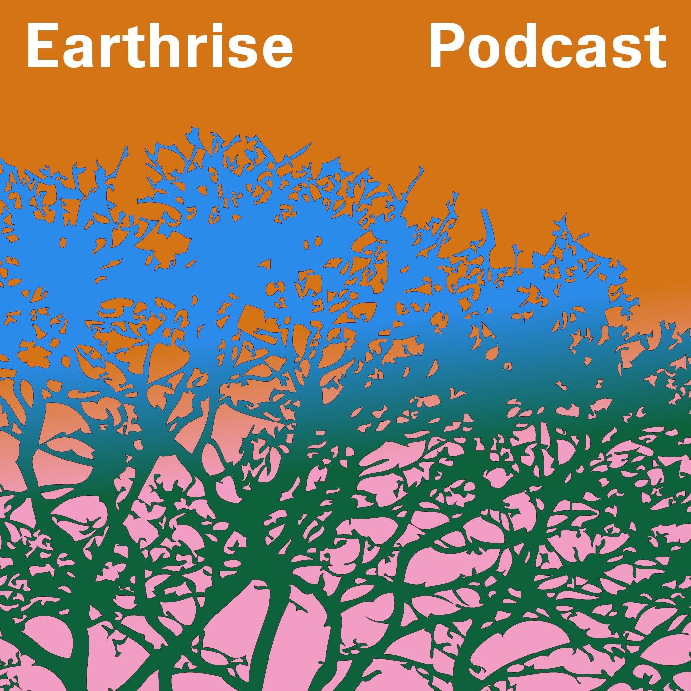 Earthrise Podcast