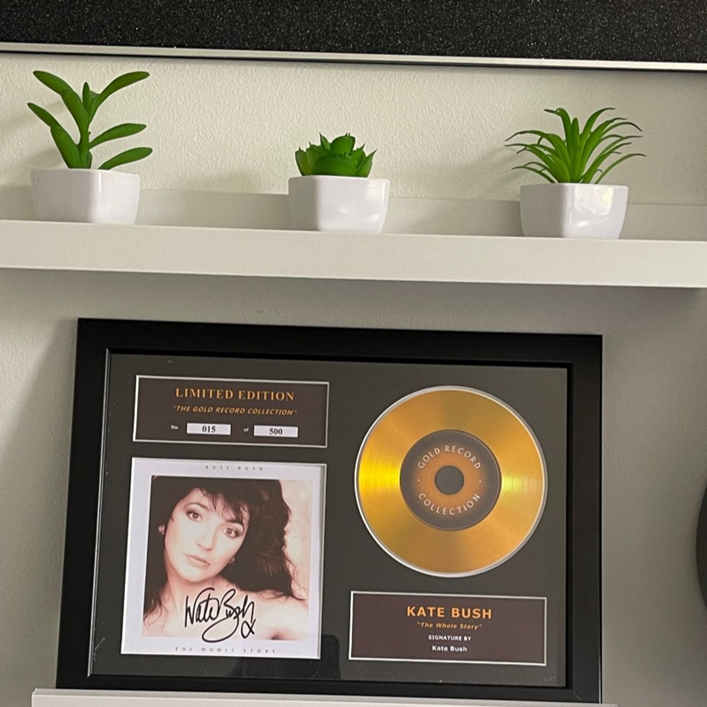 RadioCare’s Tribute To Kate Bush RadioCare’s Tribute To Kate Bush