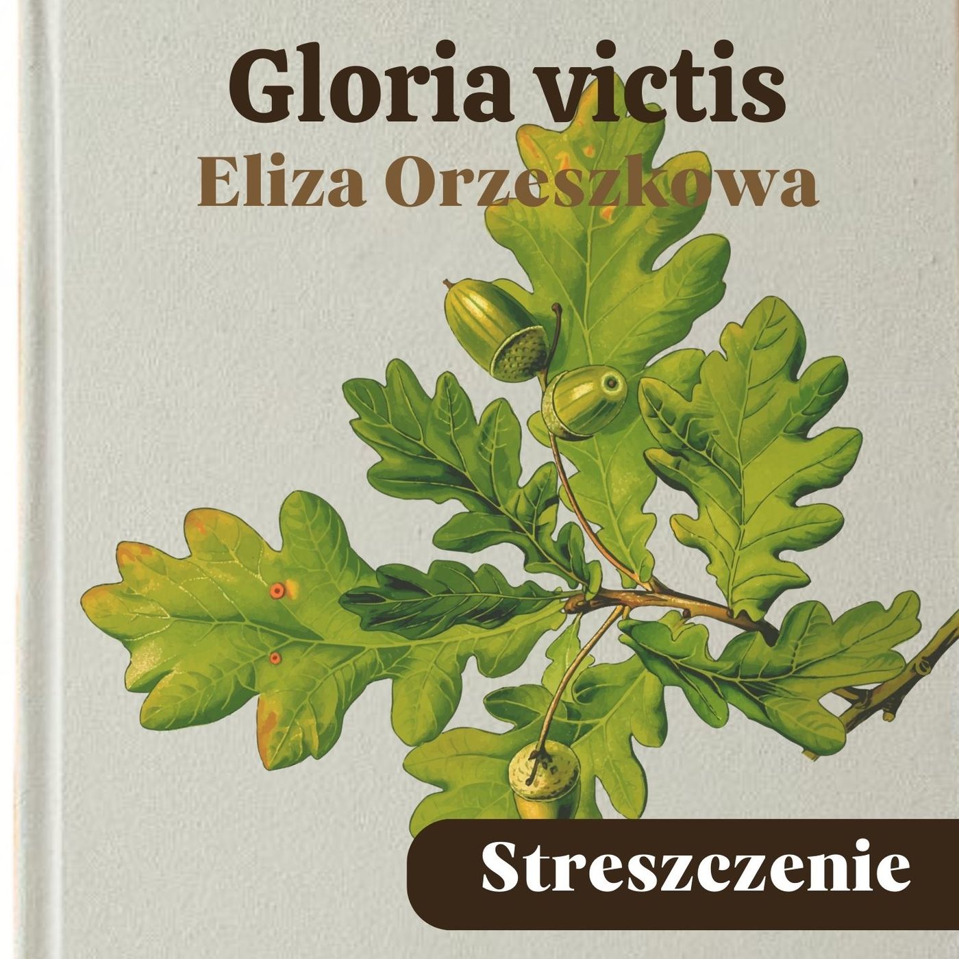 Gloria victis. Eliza Orzeszkowa. Streszczenie, bohaterowie, problematyka episode artwork