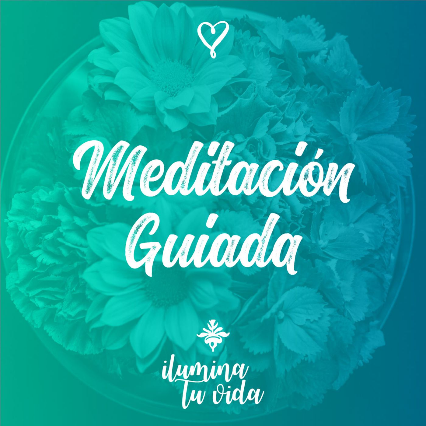 Afirmaciones Positivas