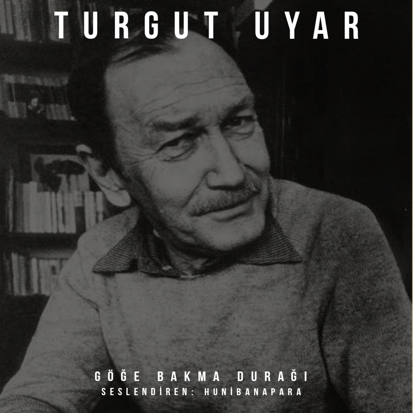 Şiirler ve Hikayeler