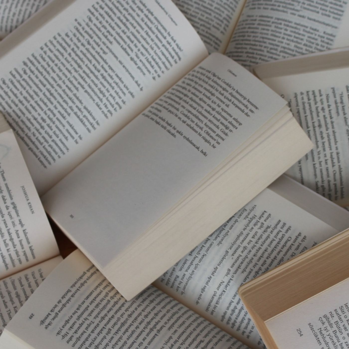 Julie Arlin e il libro "Perfetta da morire": «Una storia di rinascita» episode artwork