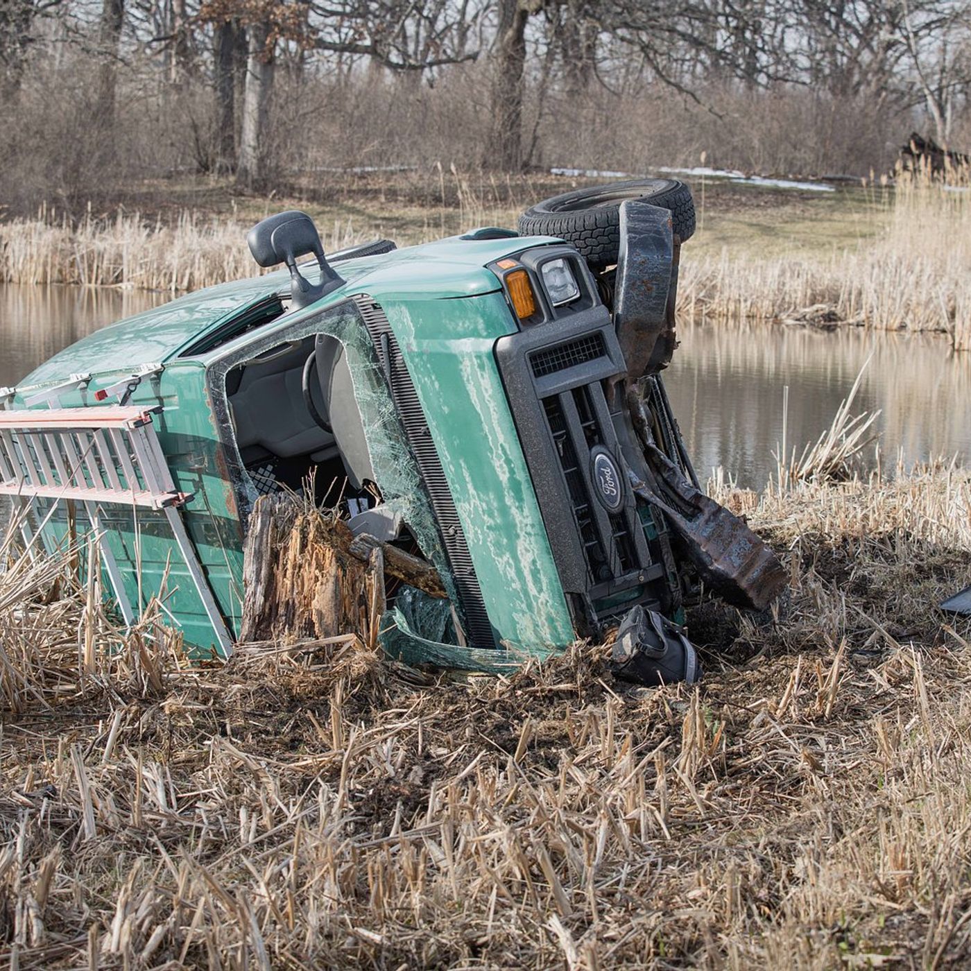 Car crashes through guardrail and into marsh near Woodstock episode artwork