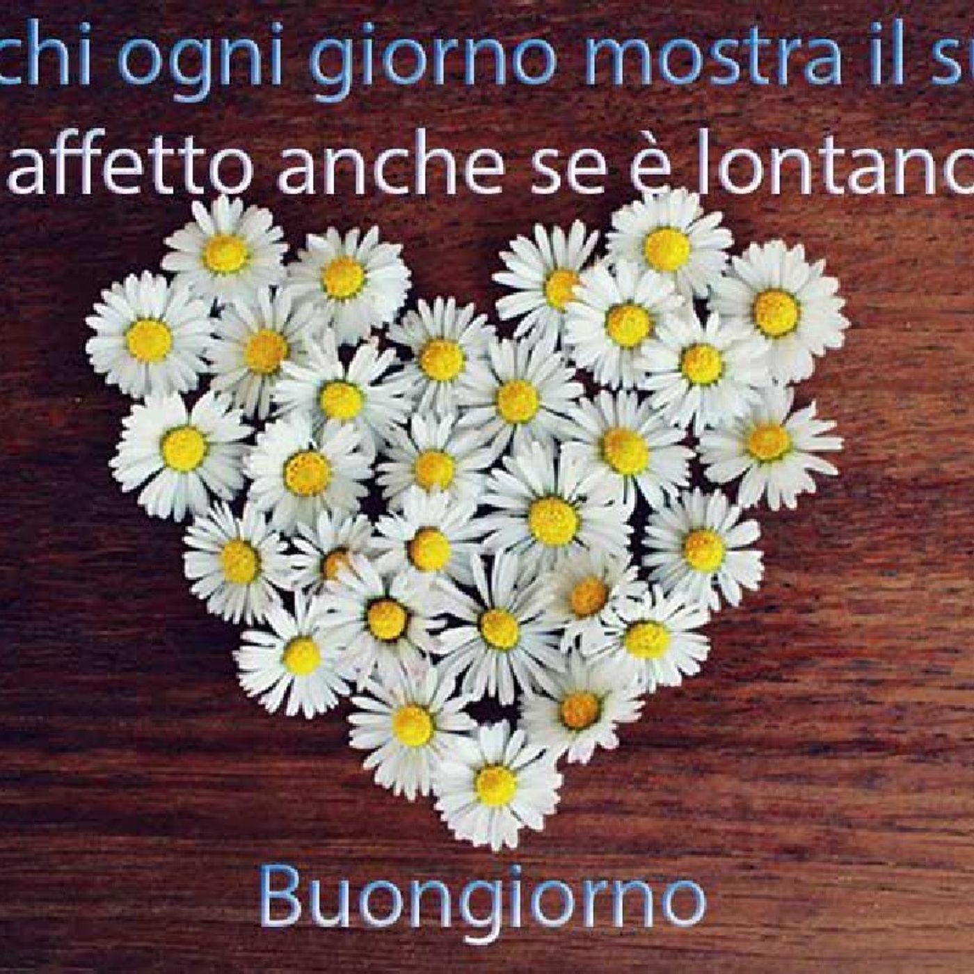 Lo show di Roberta Canu