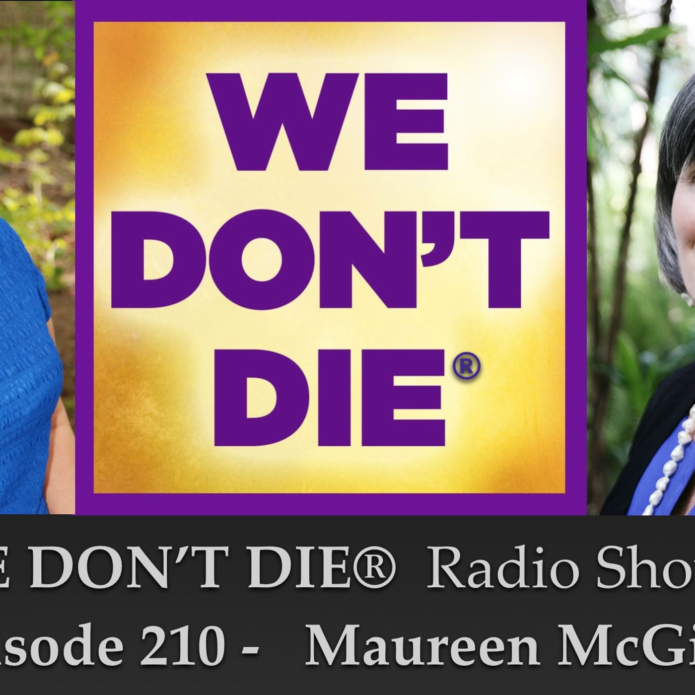 210  Maureen McGill - Professor & Author of “Baby It's You - Messages From Deceased Heroes" episode artwork