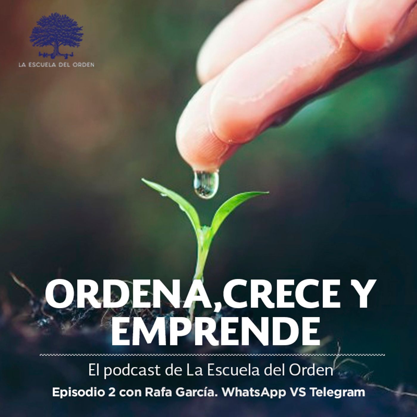 Ordena, crece y emprende