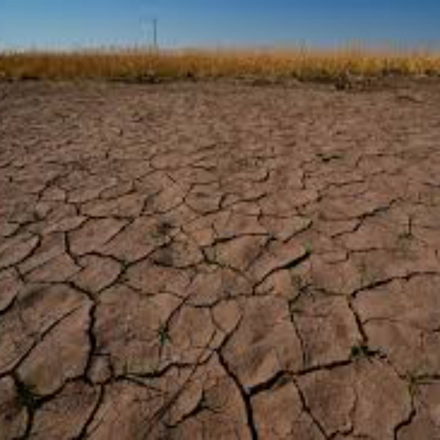 Scientists fear the latest warming cycle will bring floods, droughts and fires