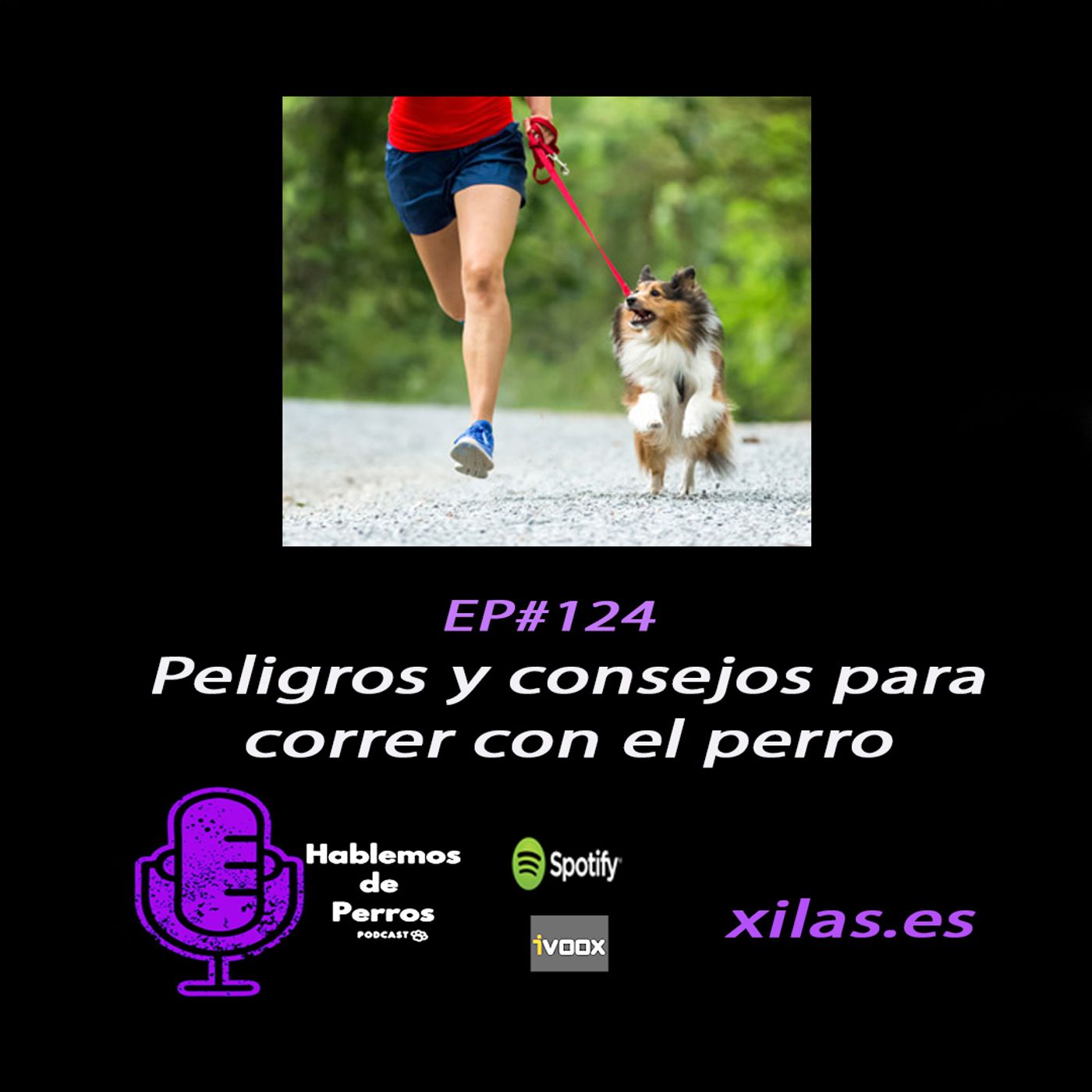 Hablemos de perros
