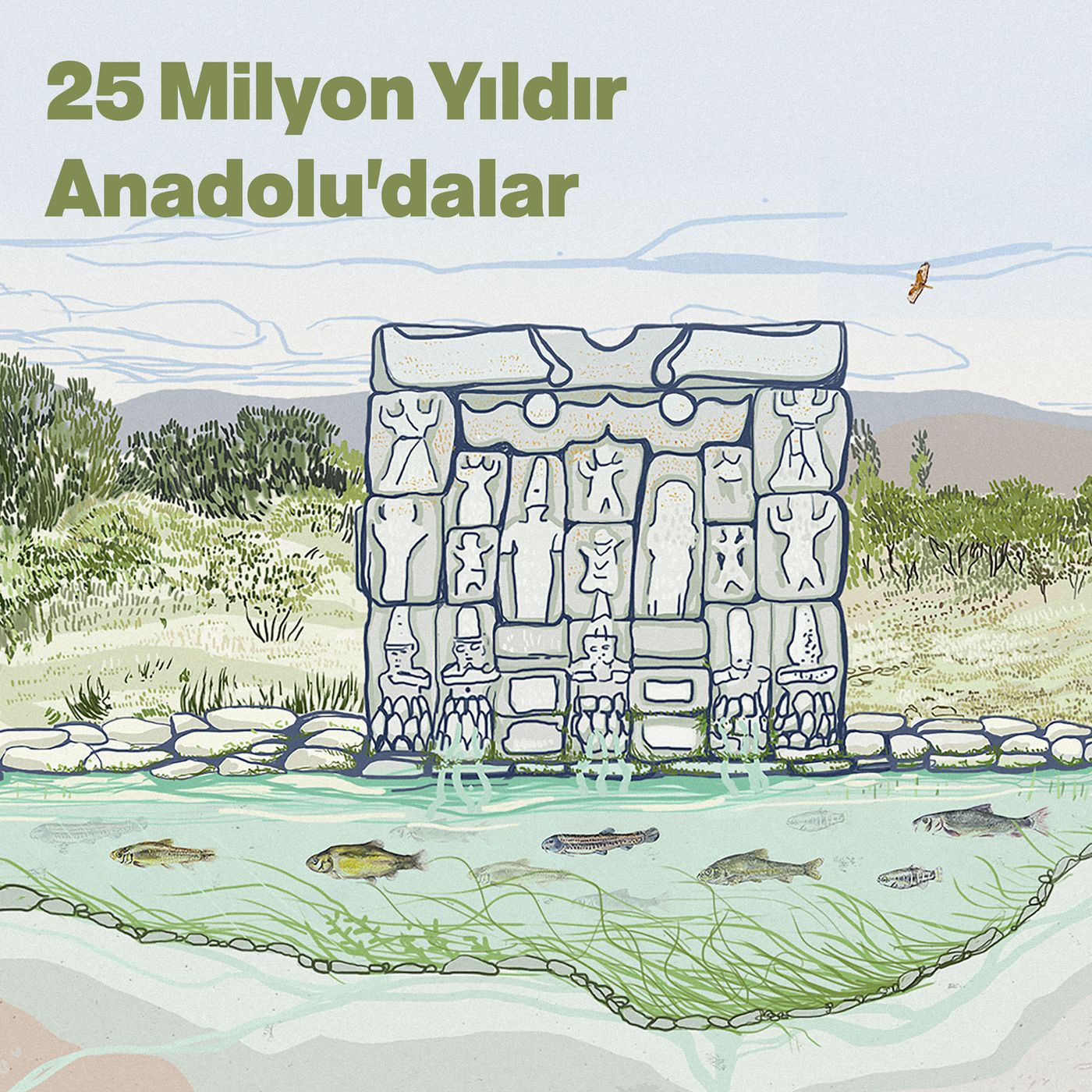 25 Milyon Yıldır Anadolu'dalar episode artwork