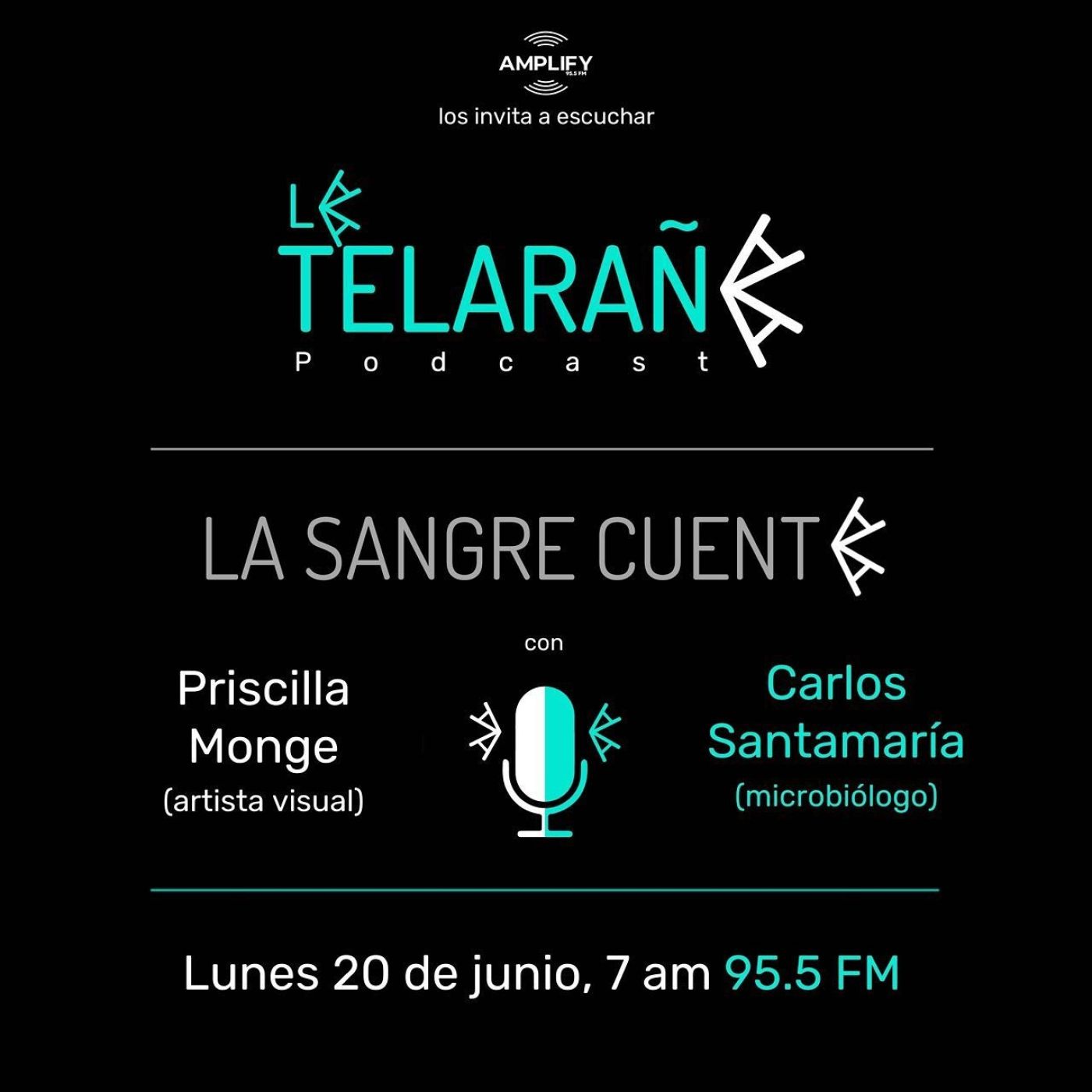 Portada de La Telaraña