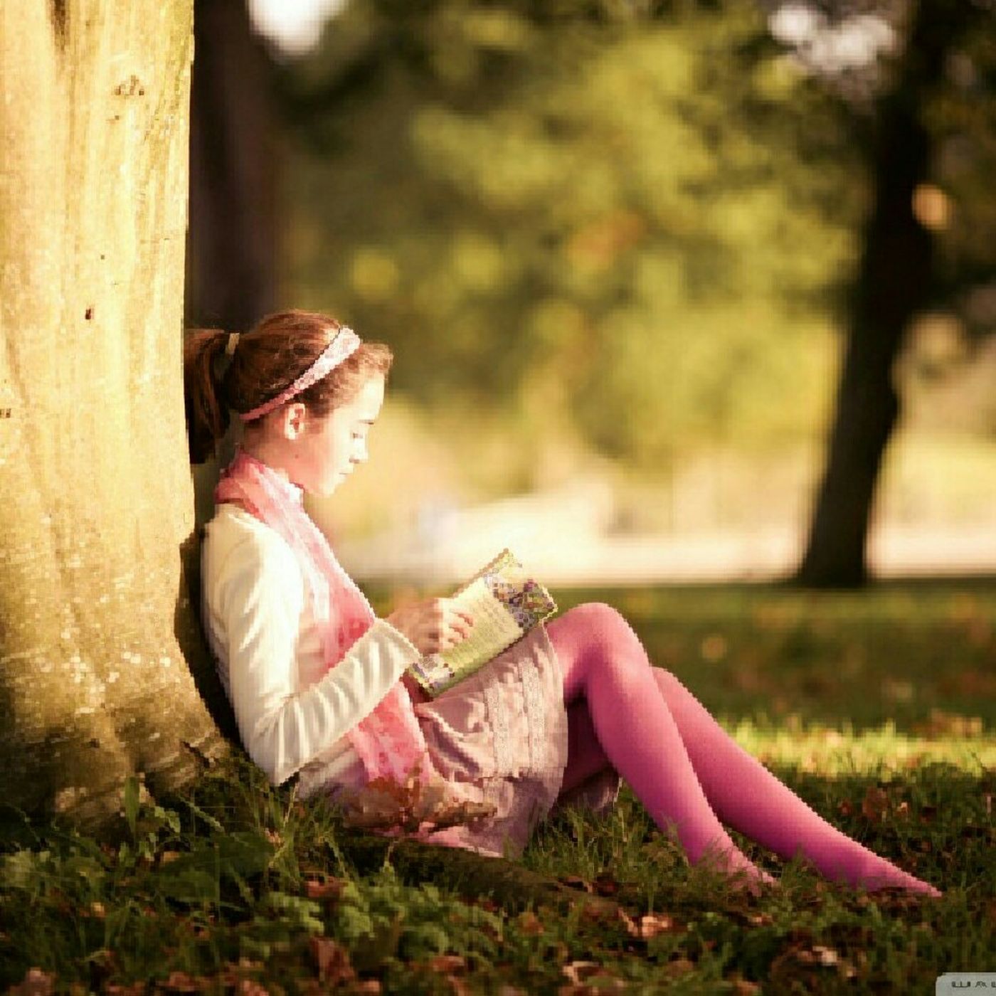 Diário Das Minhas Meditações