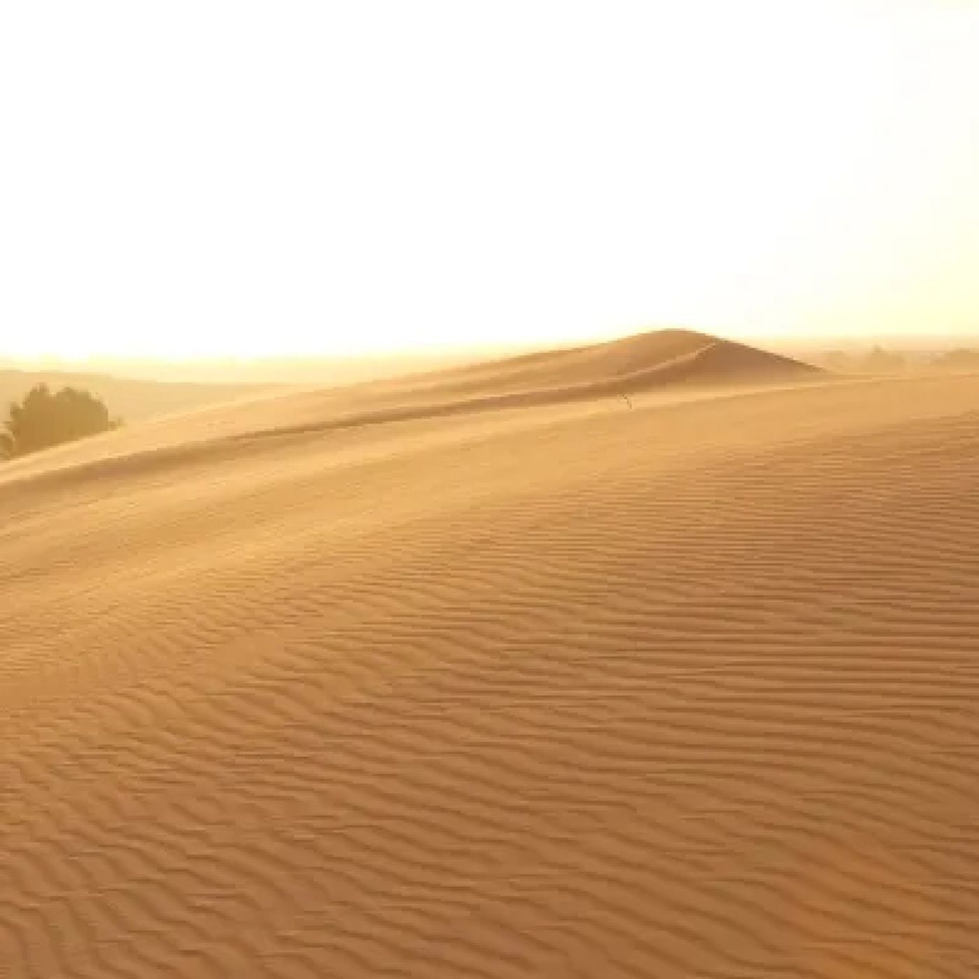 Deserto episode artwork