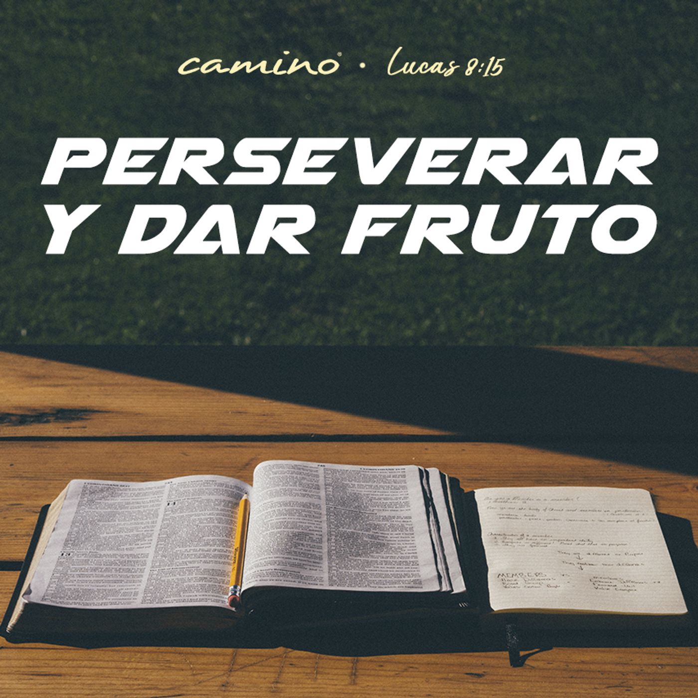 Oración 23 de enero (Perseverar y dar fruto) episode artwork