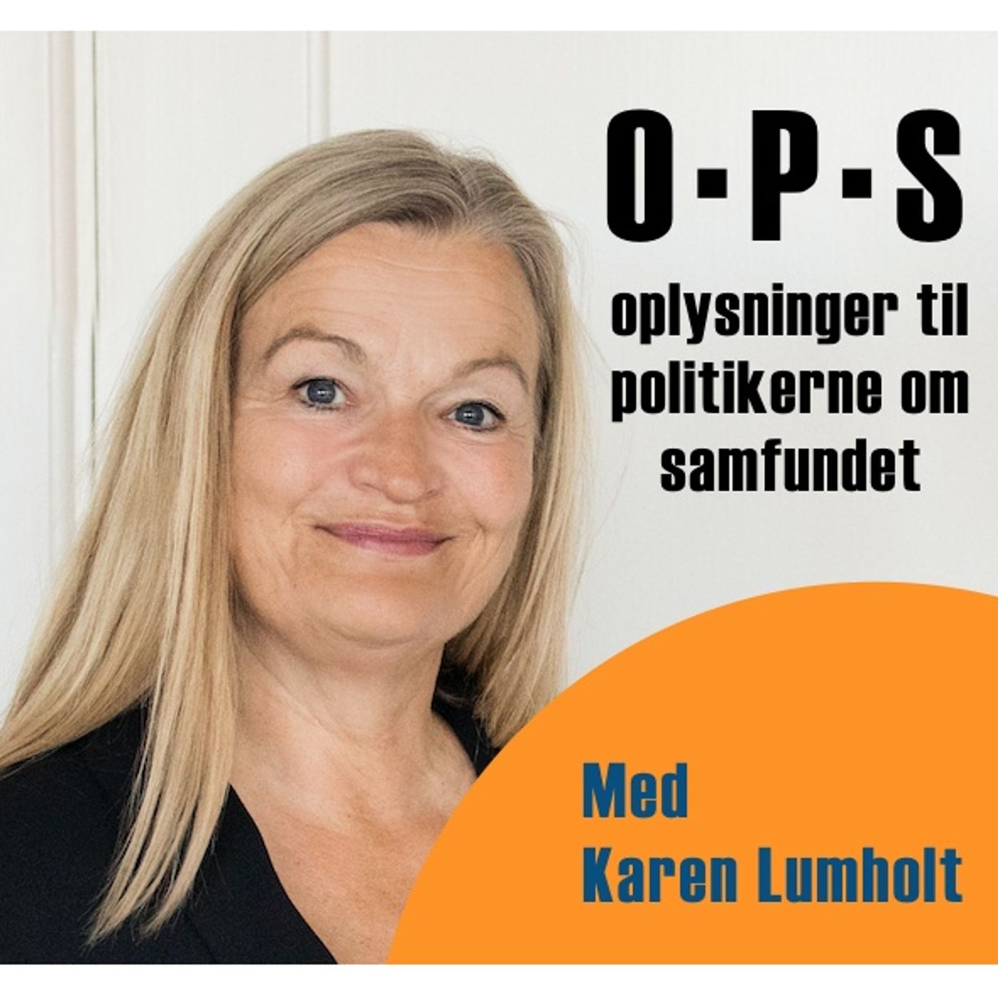 Oplysninger til Politikerne om Samfundet af Anders Stahlschmidt