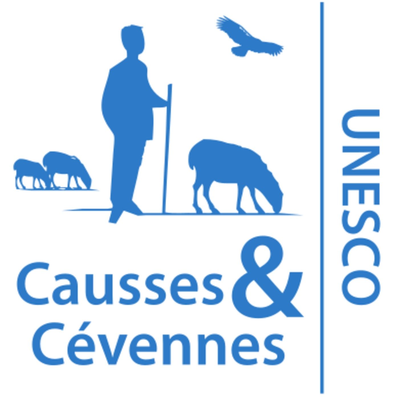 Dimanche 15 février : Informations locales : l'Année du Pastoralisme