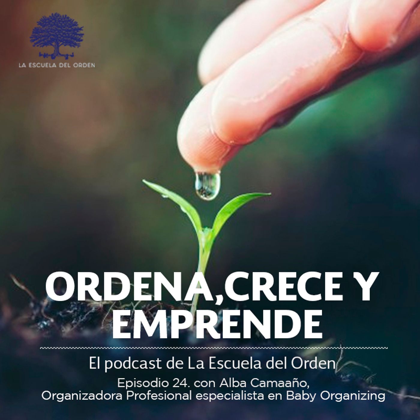 Ordena, crece y emprende