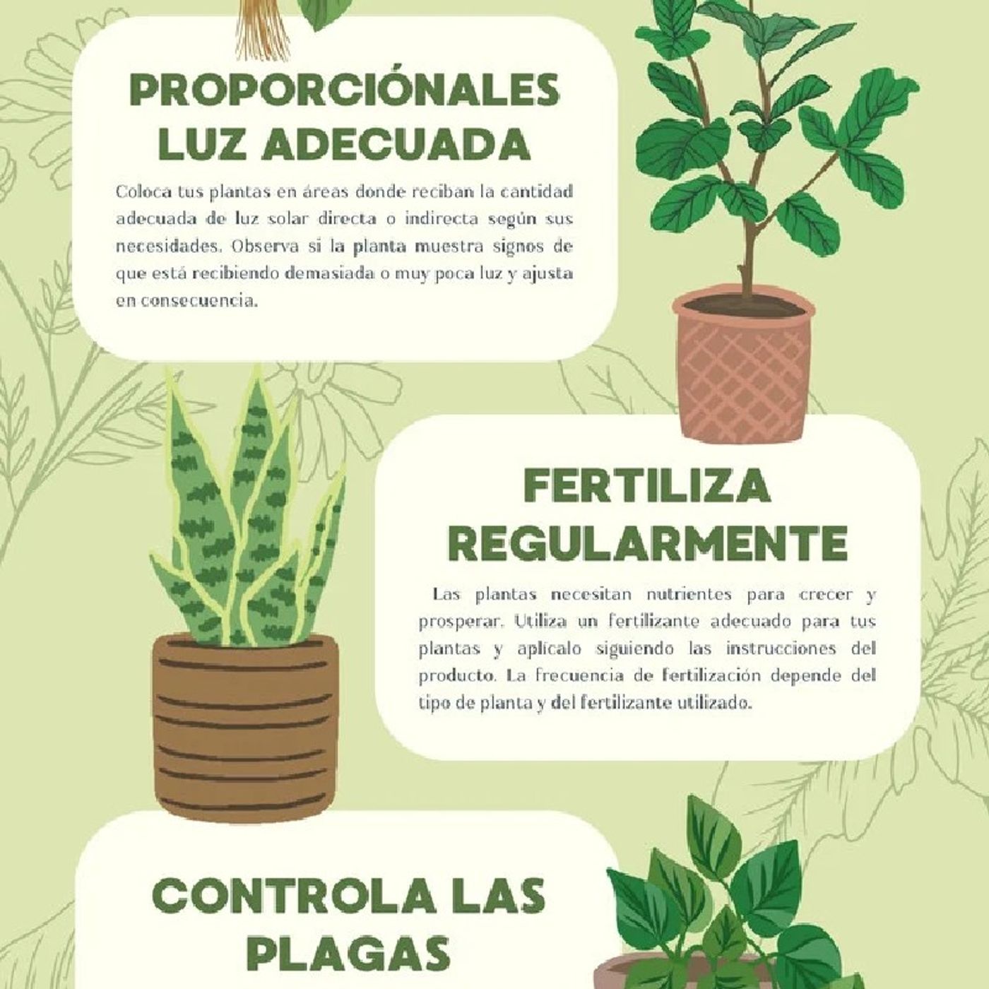 El cuidado de las plantas episode artwork