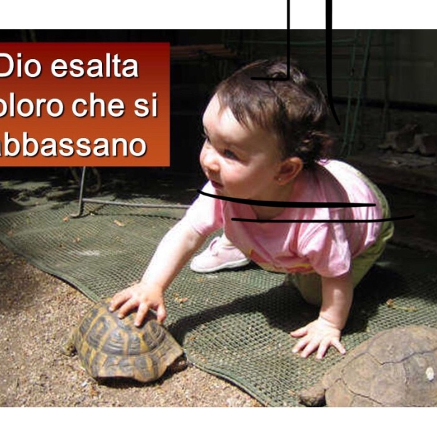 Umiltà. 31ª domenica (A). Meditazione. “Chi si umilierà sarà esaltato”* (Mt 23,1-12). episode artwork