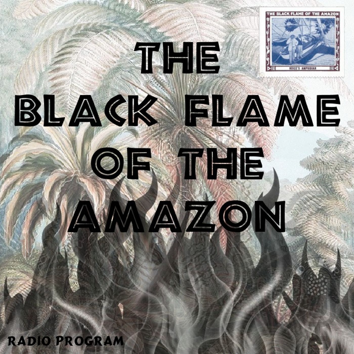 Black Flame of the Amazon, The 1938-xx-xx (011) Jimmy's Plan to Turn the Plane