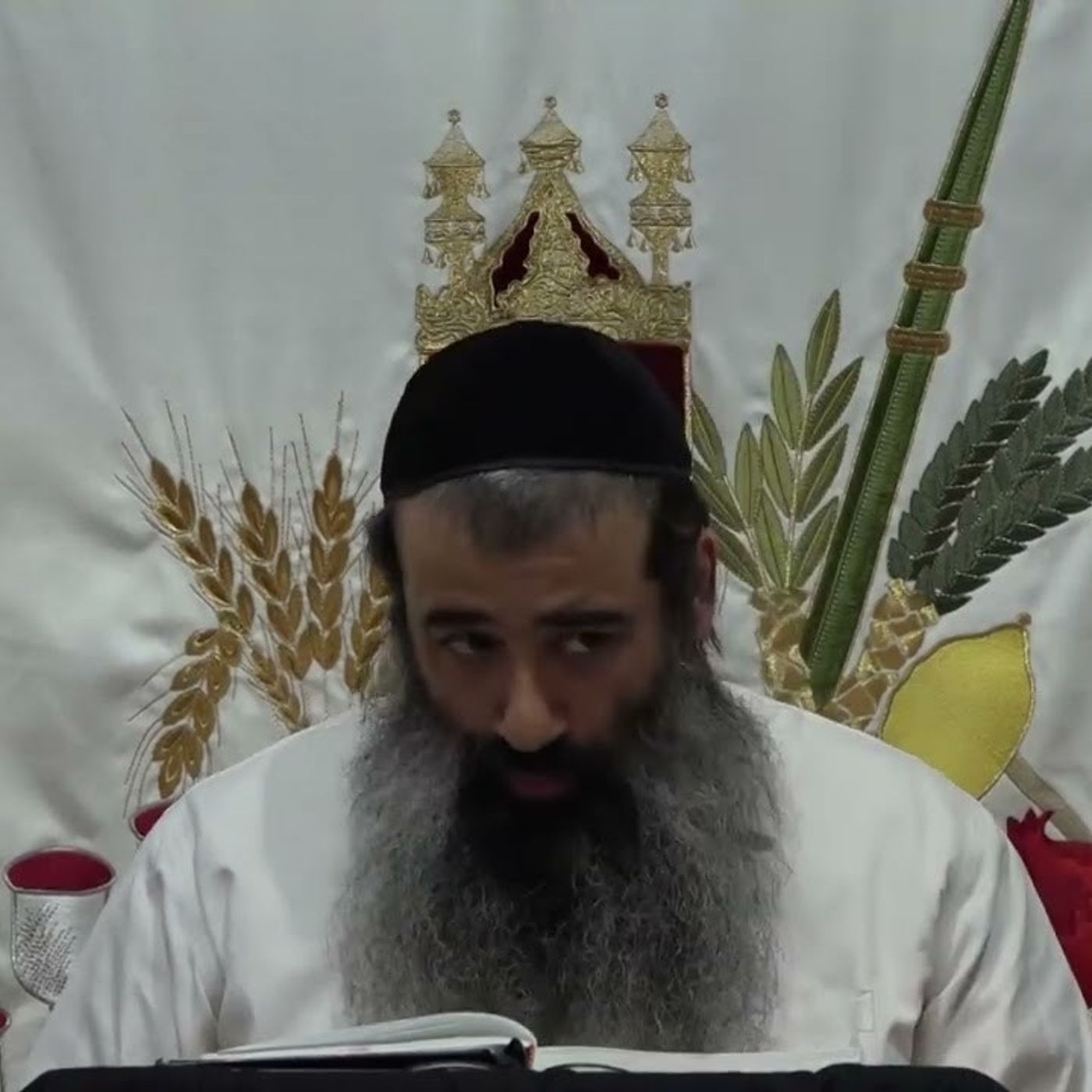 הלבשה איכותית והלבשה כמותית 19