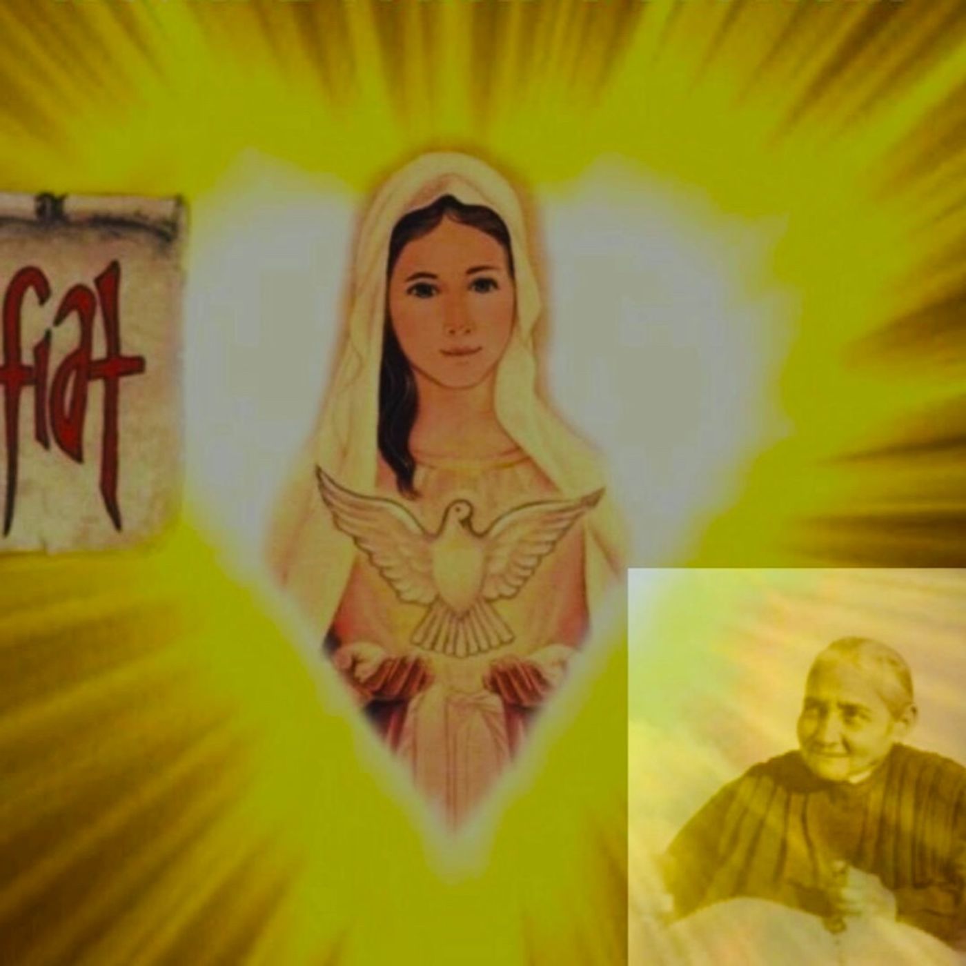 DV Biografia di Luisa Piccarreta (Francesca di Gesù: 1° Annuncio Divina Volontà da Padre Michele Vassallo RCC Servi di Cristo Vivo) 19-1-19 episode artwork