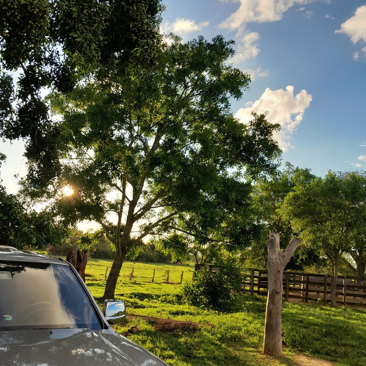 El podcast de Daniela Prada