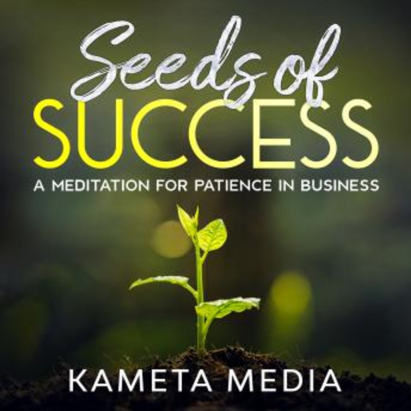 Grab the Essential Audiobooks in Self-Improvement, Career Development