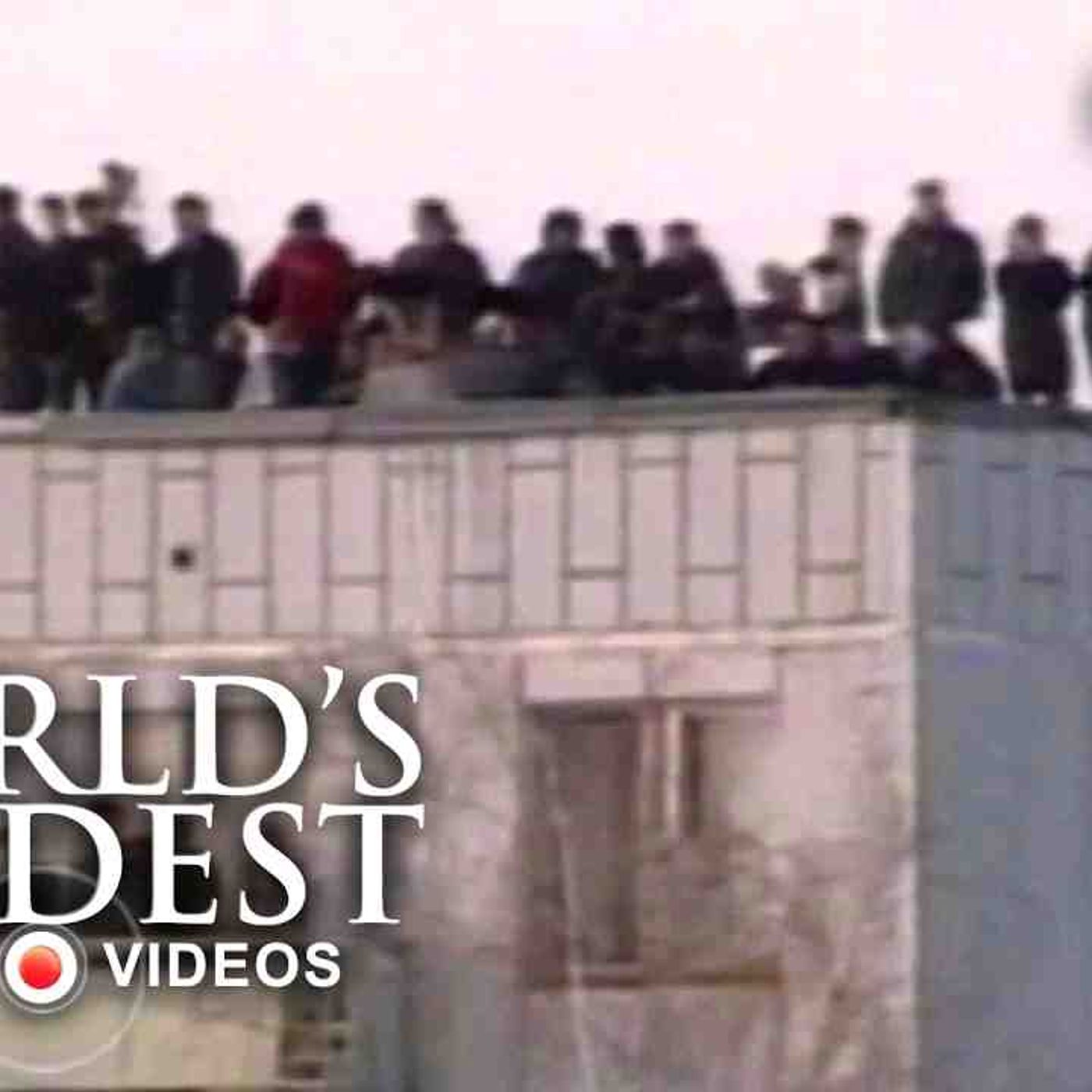 Speed In Real Life__ _ World_s Wildest Police episode artwork