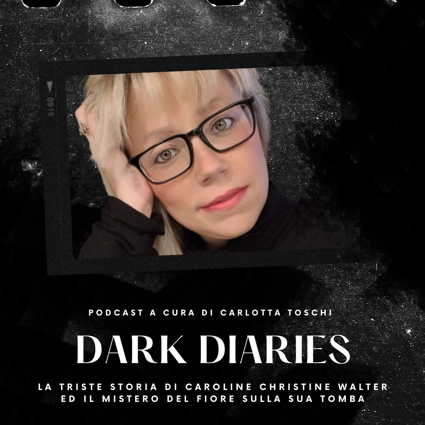 Dark Diaries