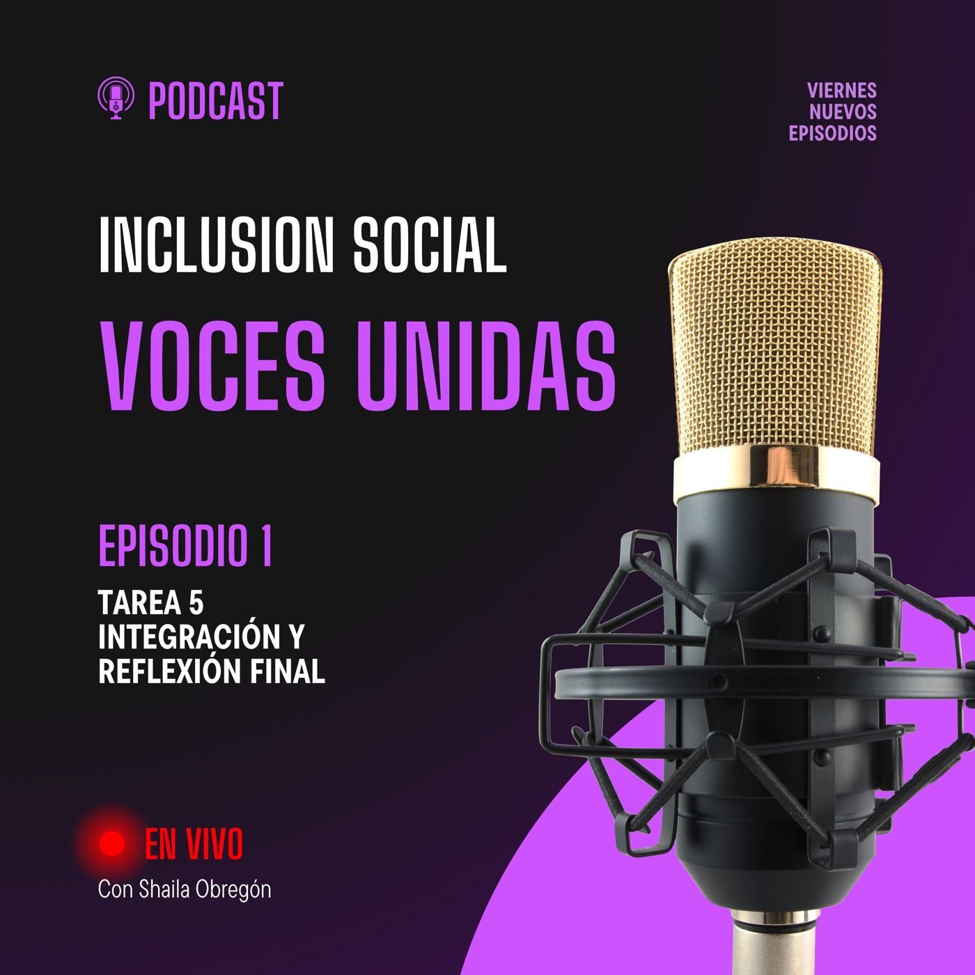 Inclusión social, voces unidas