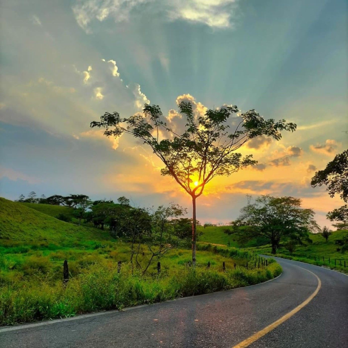 Declaracion de renta PN