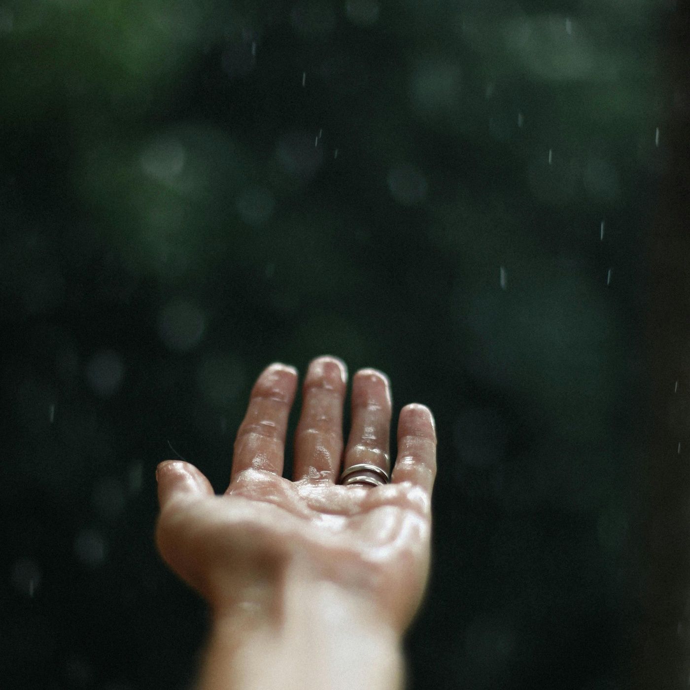 Gentle Rain Drizzle - 10 Hours Sleep Sound episode artwork