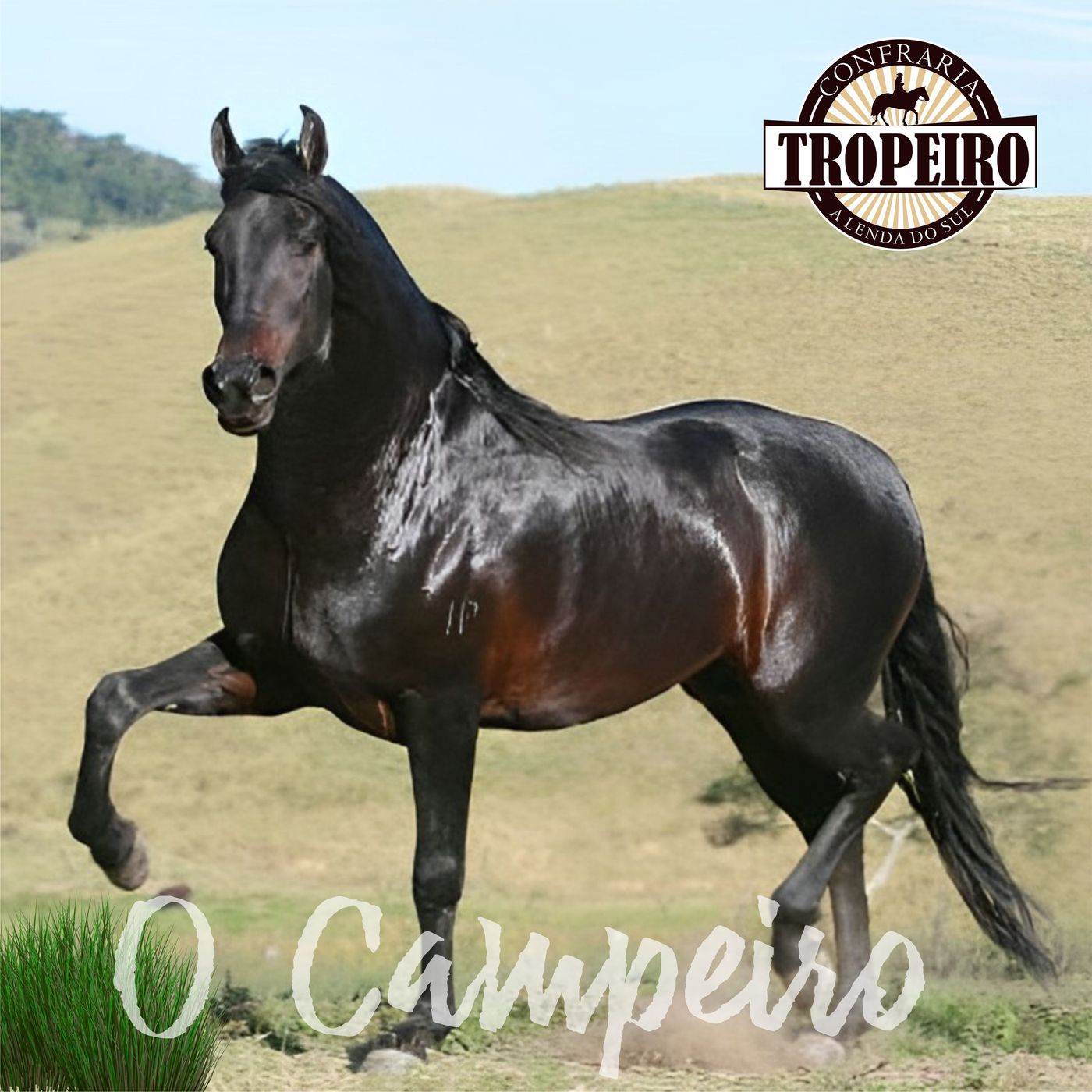 Confraria do Tropeiro
