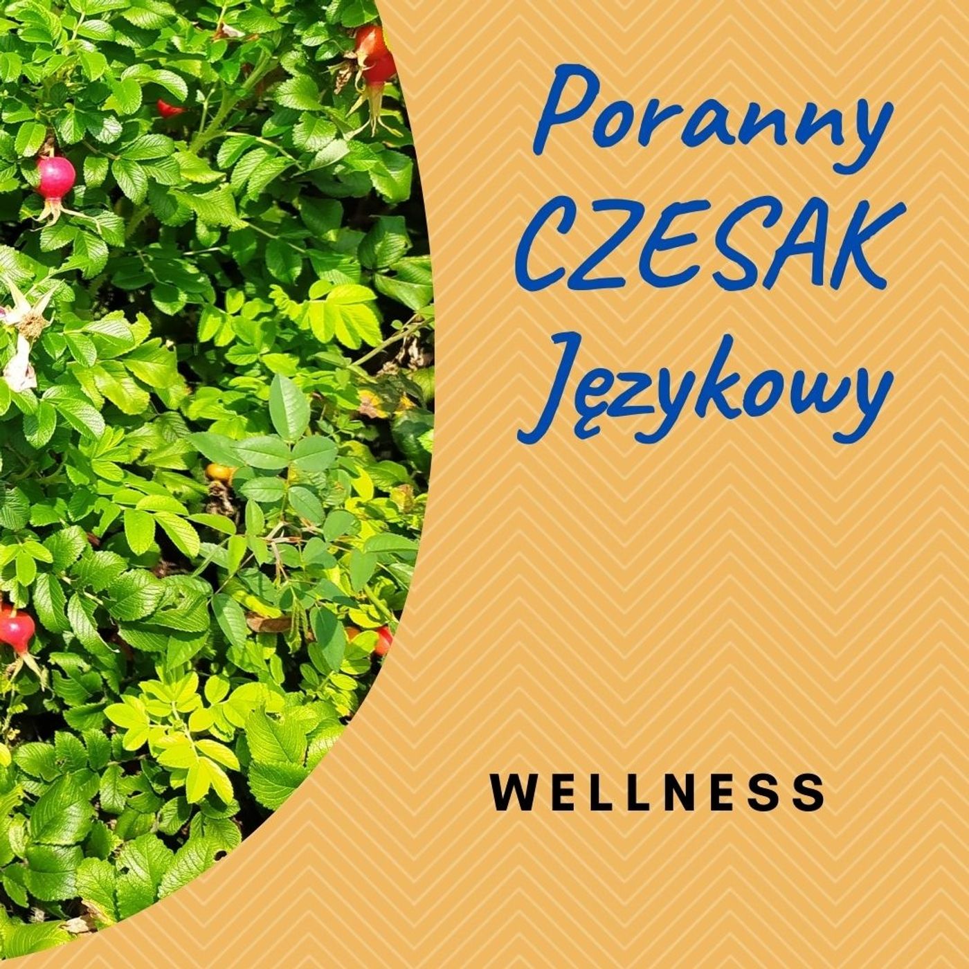 Poranny Czesak Językowy