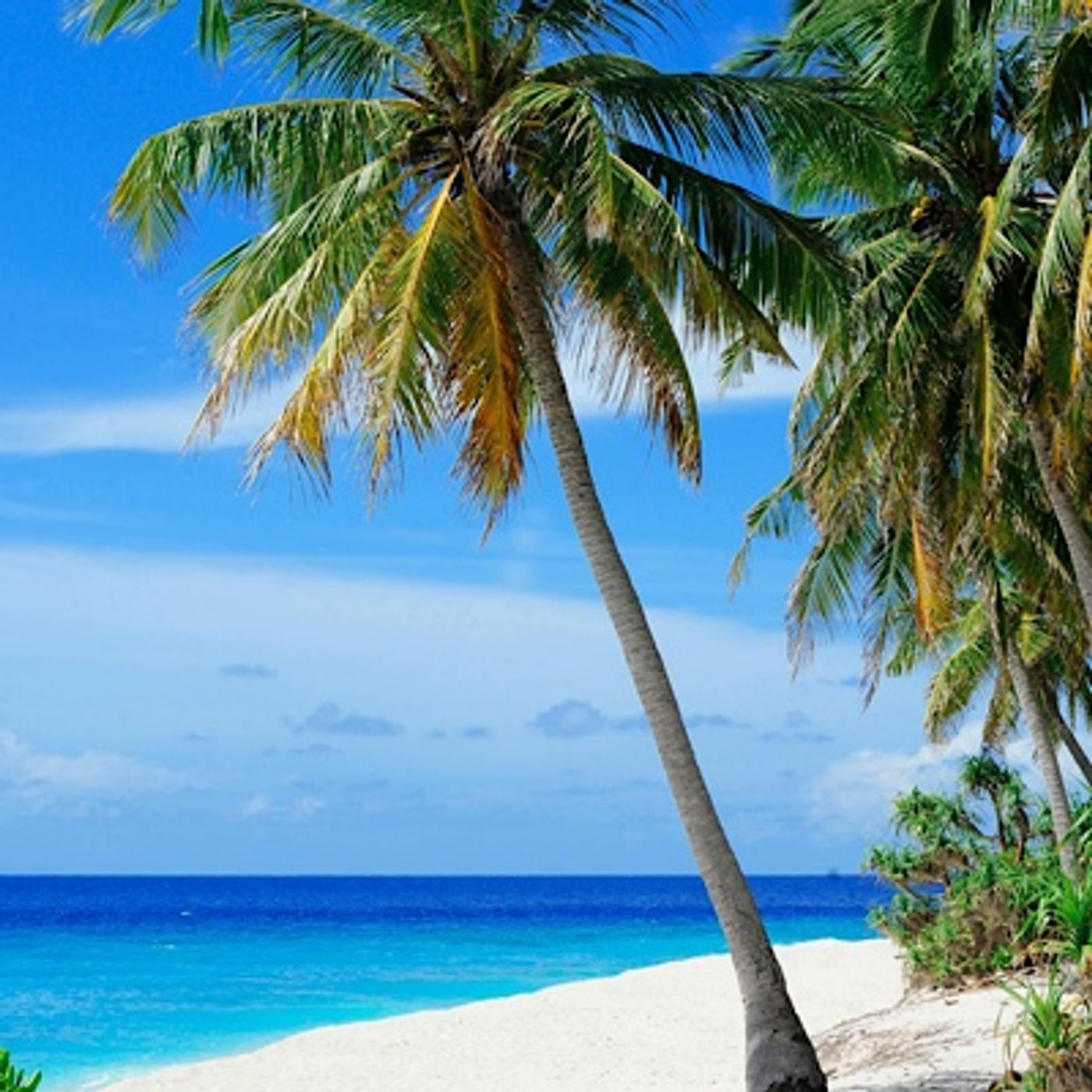 Episode 1583 - Jarvis Kingston NFL Playoffs Wild Card Rams Panthers Bears Packers Egypt Ivory Coast AFCON Charlton Chelsea Girona Osasuna IU