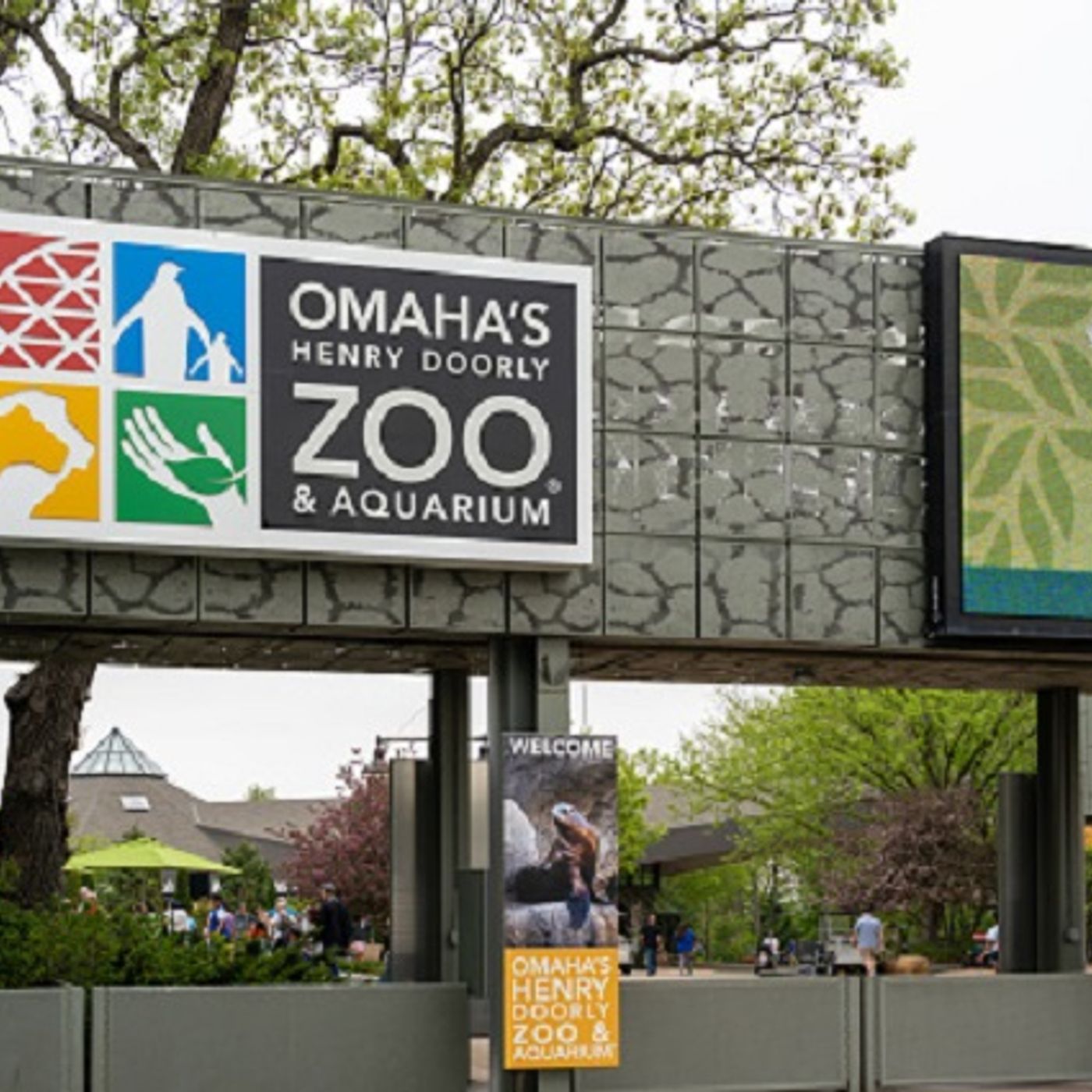 Steve & Gina talk with Jacey from Omaha's Zoo about some great events coming soon! episode artwork
